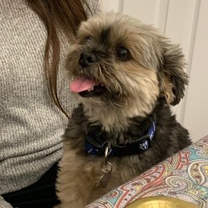 Meet your Posher, Tina